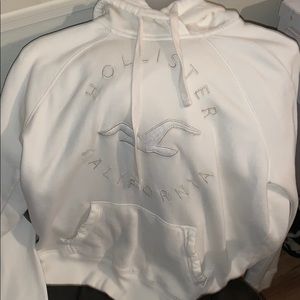 hollister sweater